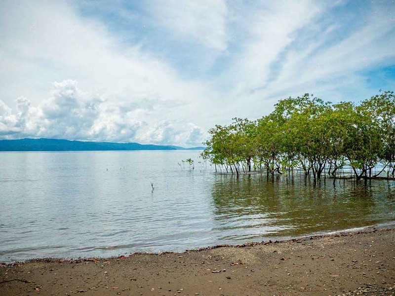 0 bed Lot/Land For Sale in Osa Peninsula,  - 1